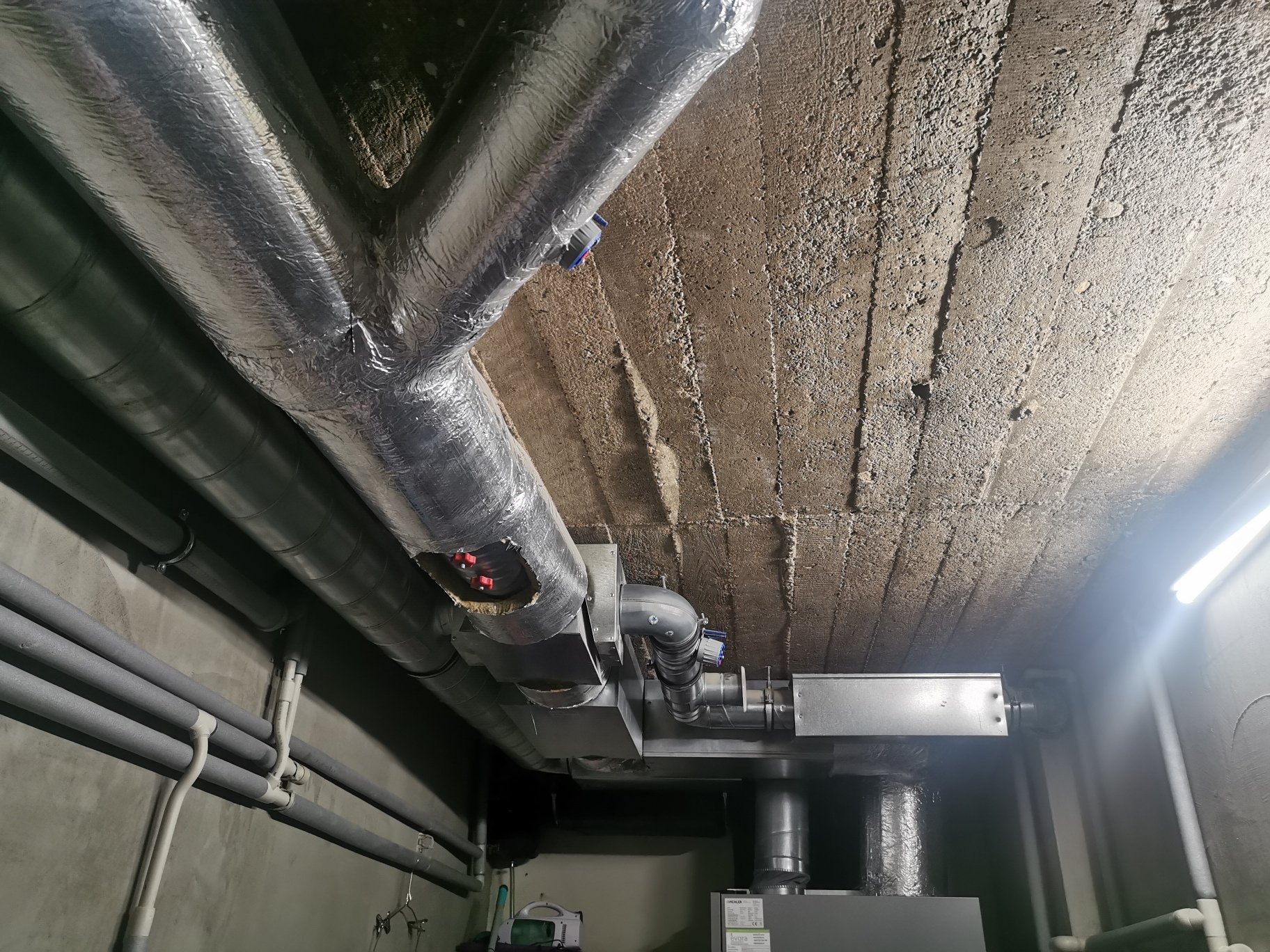 IMG_20191001_075054_resized_20191001_080031012_web-3