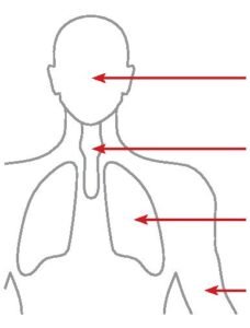 Pichler-guideline_ISO-16890_obr_telo_castice-bez-popisu-228x300